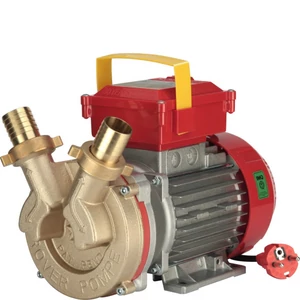 ROVER BE-M 30 HP 1,00