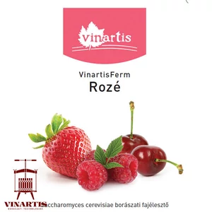 VINARTISFERM ROSE 10/1