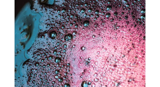 Szüreti Aktualitások 4. rész - Erjesztés