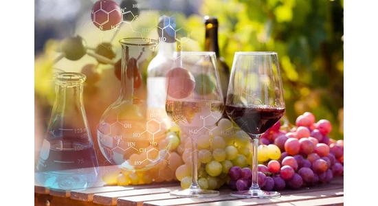 A borkészítés tudománya – gondolatok a labormunka szerepéről